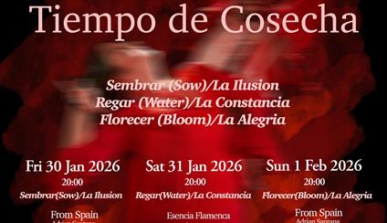 Esencia Flamenca 10th Anniversary Performances