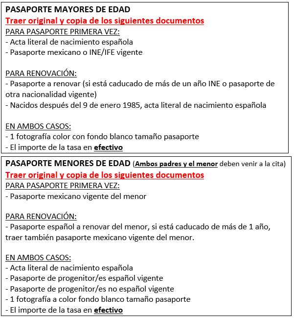 CuadroRequisitosPasaportes.jpg