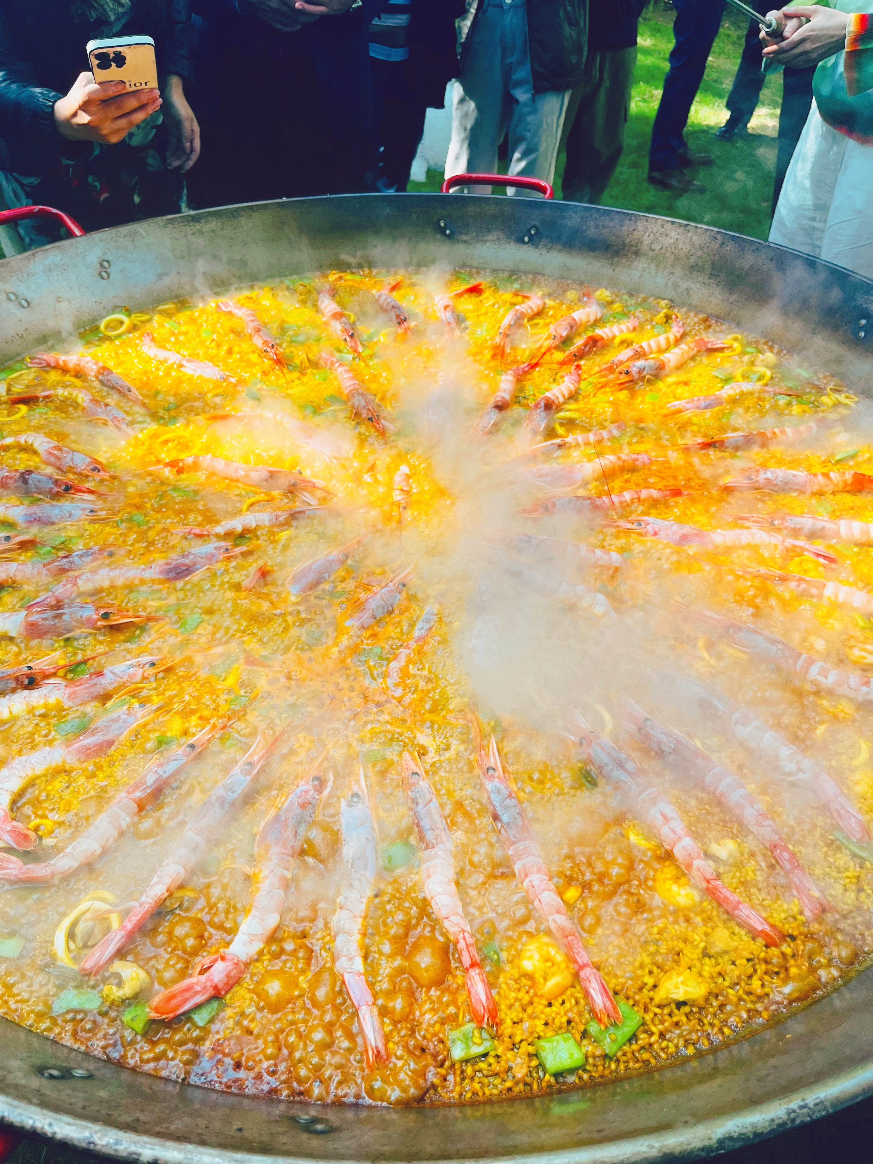 Paella solo