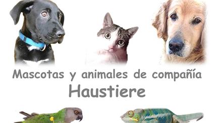 Viajar a España con Mascotas - Spanienreise mit Haustieren