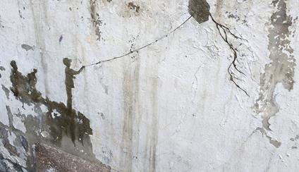 Artista urbano español, Pejac