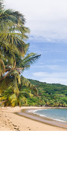 la foto  ILHA A 70.PNG