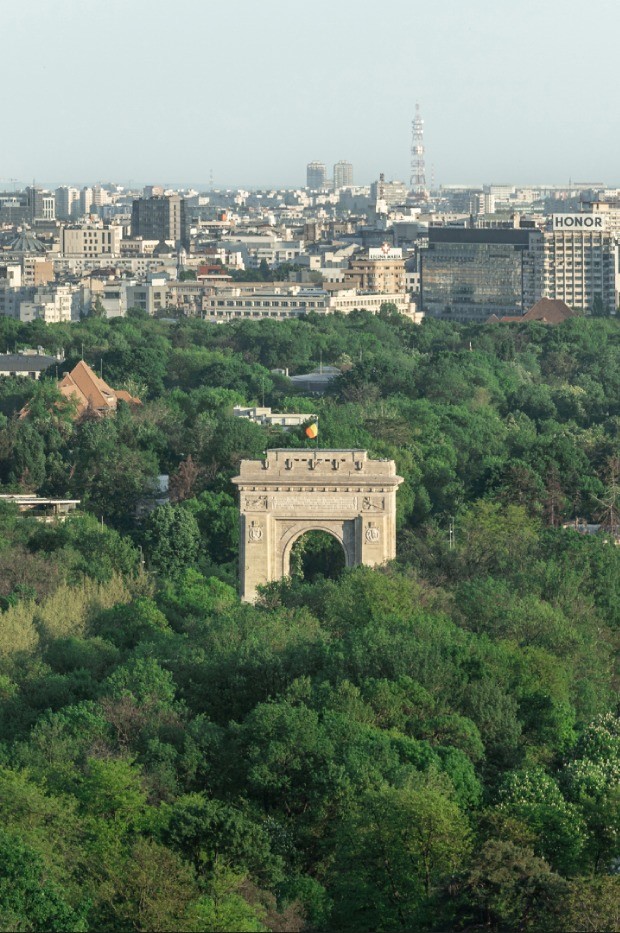 RDW_marius vasile-7180_BIS.jpg