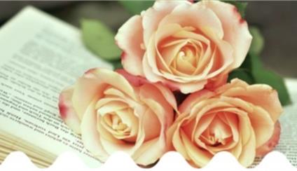 Seminario literario en el Día Internacional del Libro - Kirjan ja ruusun päivä