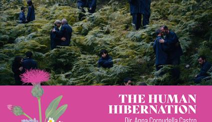 Festival Mediterrane