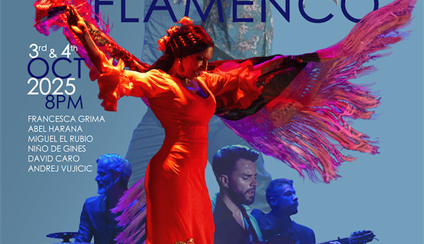 Actuación de Puerto Flamenco