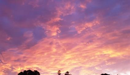 Semana de Poesía Iberoamericana en Lisboa