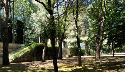 Presentación de solicitudes Contrato Mantenimiento Jardines Residencia