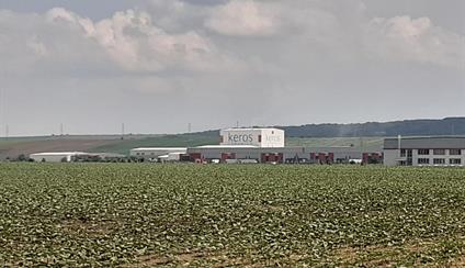 Visita a la empresa española de cerámica Keros en Ruse