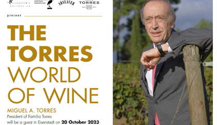 The Torres World of Wine