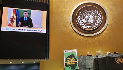 España interviene en la primera Cumbre sobre Biodiversidad de Naciones Unidas