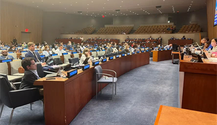 España interviene en la Conferencia de Estados Partes de la Convención sobre Derechos de Personas con Discapacidad