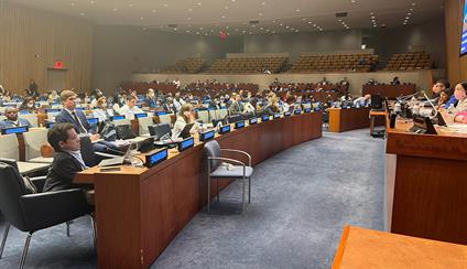 España interviene en la Conferencia de Estados Partes de la Convención sobre Derechos de Personas con Discapacidad