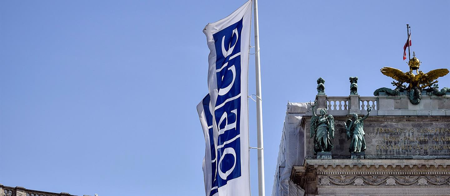  Permanent Representation of Spain to the Organization for Security and Cooperation in Europe (OSCE)