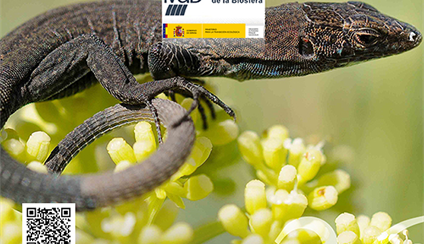 Boletín de la Red Española de Reservas de la Biosfera