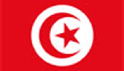 El ministro viaja a Túnez para relanzar la relación bilateral