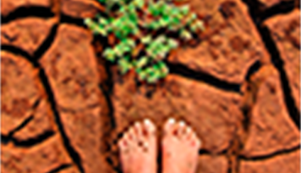 Día Mundial del Agua