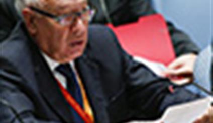 García-Margallo preside la reunión del Consejo de Seguridad sobre Oriente Medio