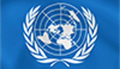 España interviene en el Comité de Descolonización de Naciones Unidas