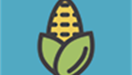 Día Internacional para Erradicación de la Pobreza