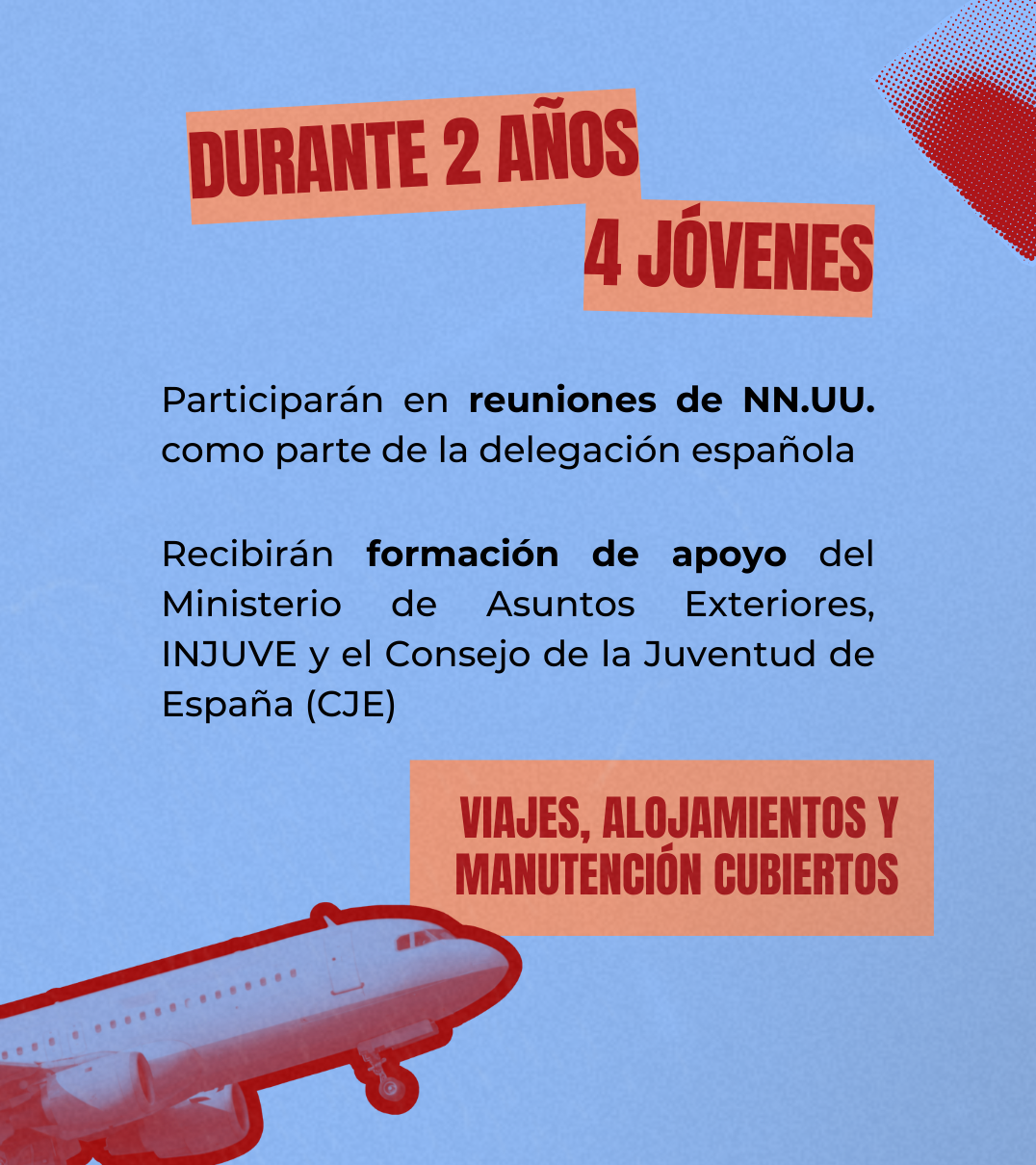 Programa de Jóvenes Delegados Españoles en Naciones Unidas_1.png