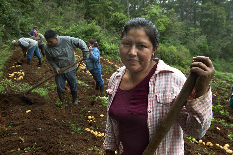 Cooperación y Desarrollo Sostenible